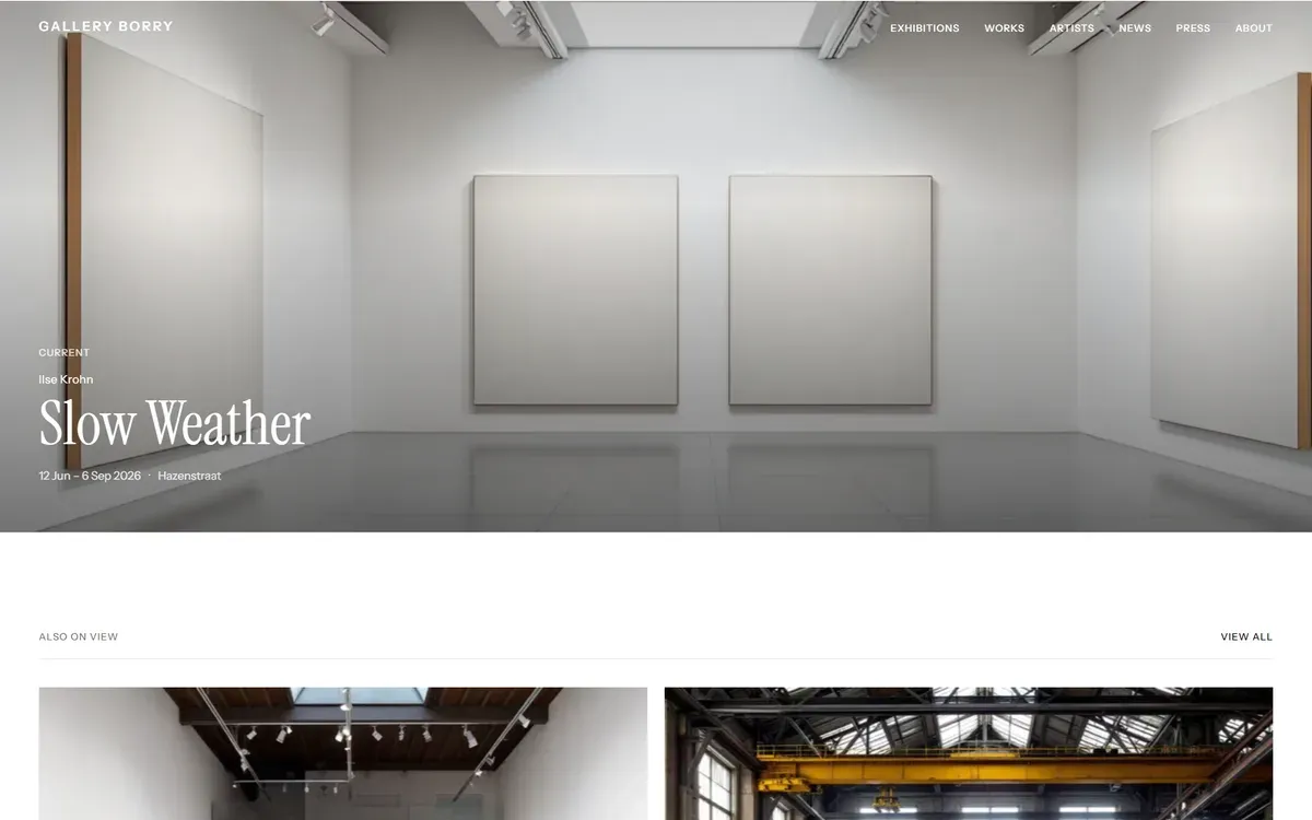 De homepage van Gallery Borry